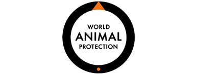 http://media.akademi.effektfullt.se/2022/04/World-animal-protection-effektmatning.png